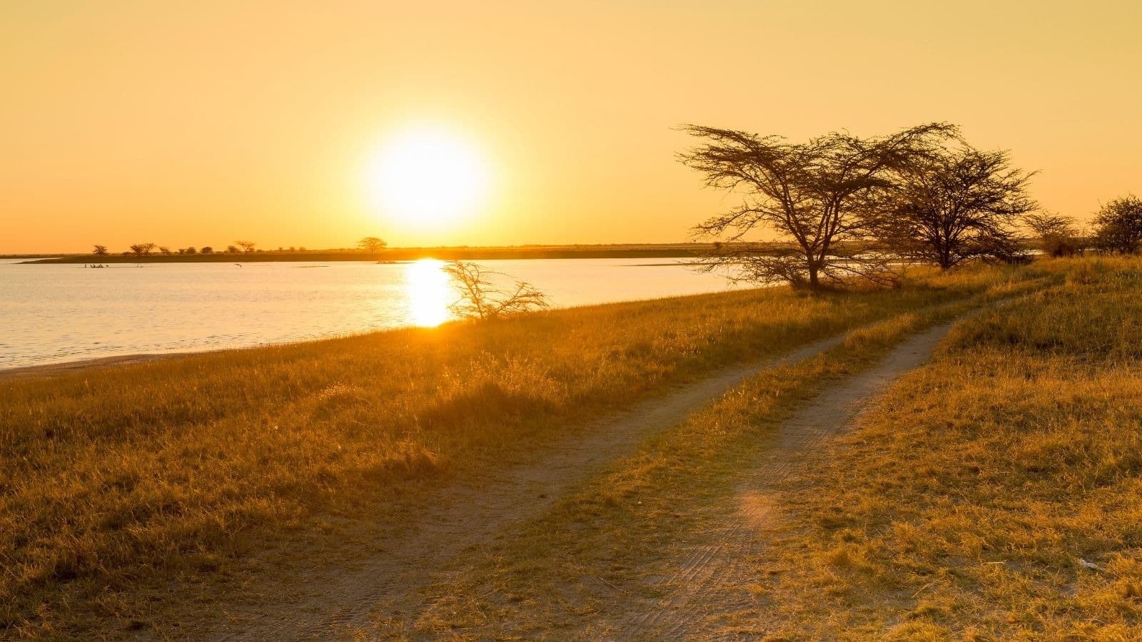 Chemin doré longeant l'eau au coucher du soleil
