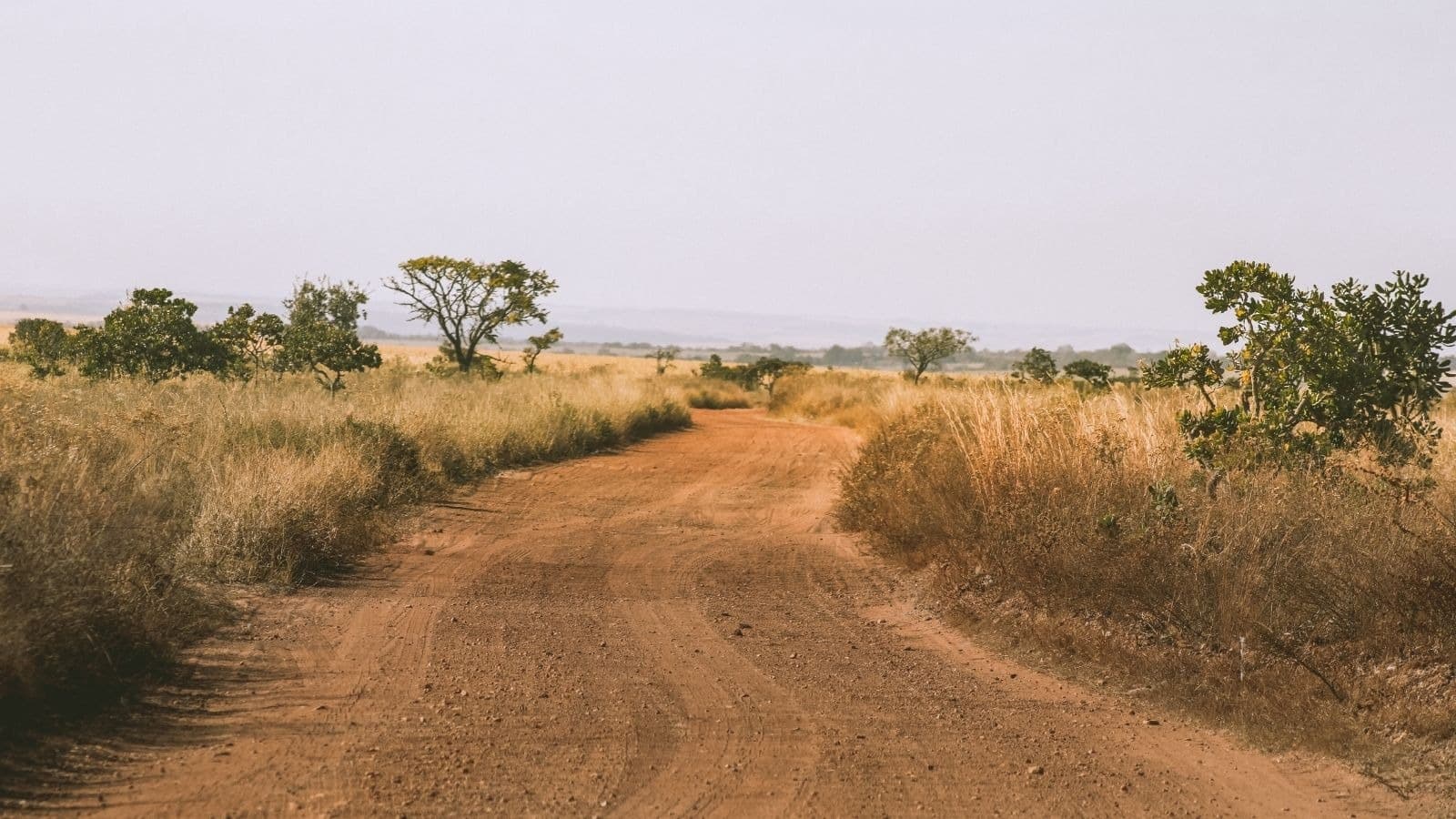Piste de terre traversant un paysage sec