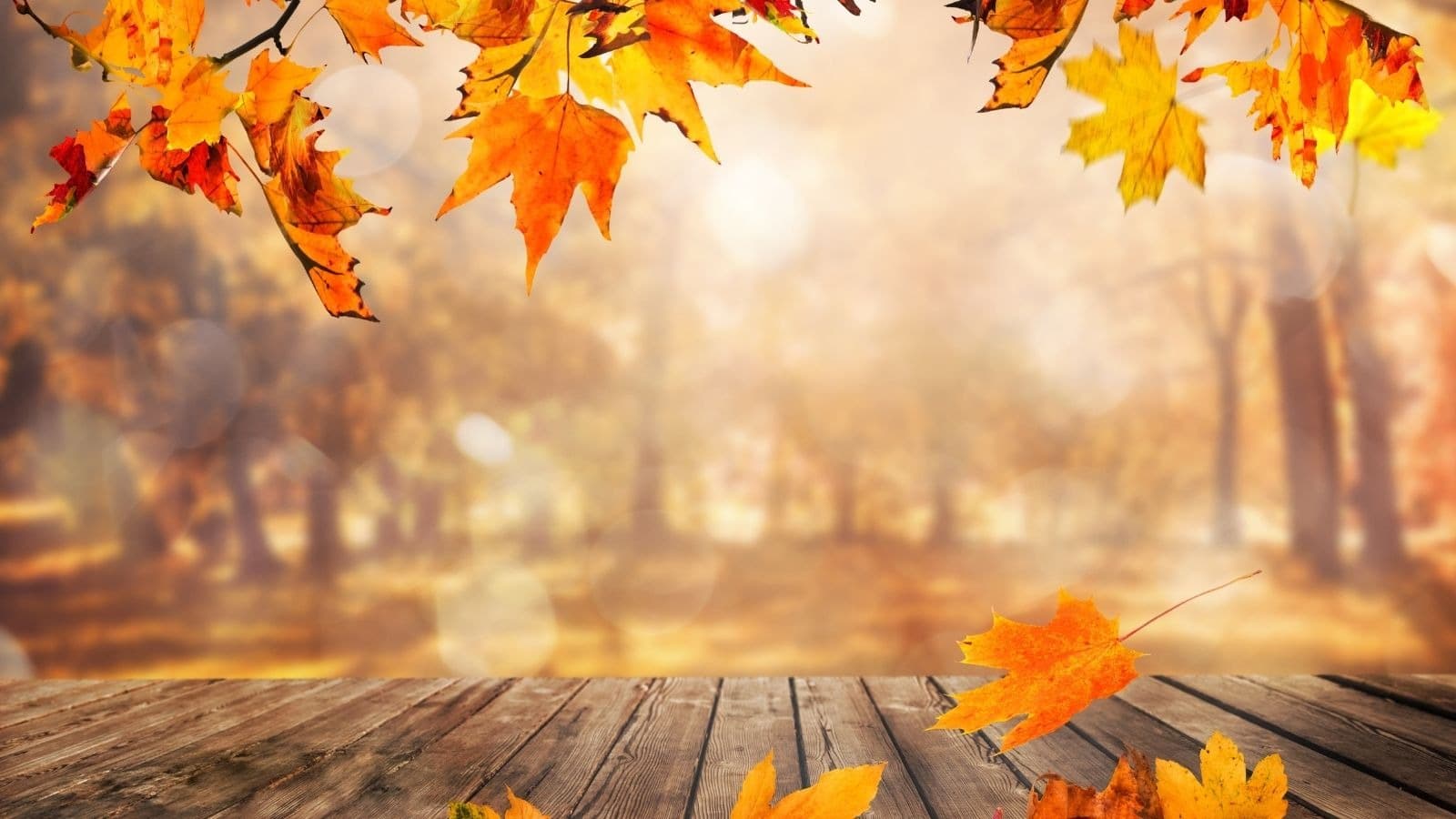 Feuilles d'automne tombant sur une table en bois