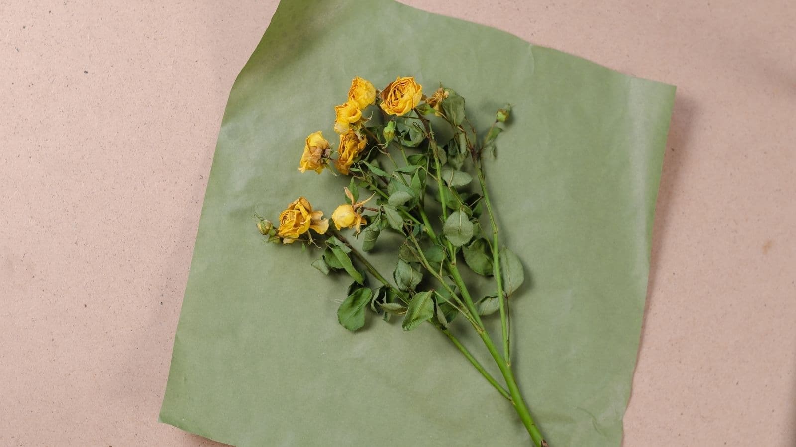 Bouquet de petites fleurs séchées sur un fond rose