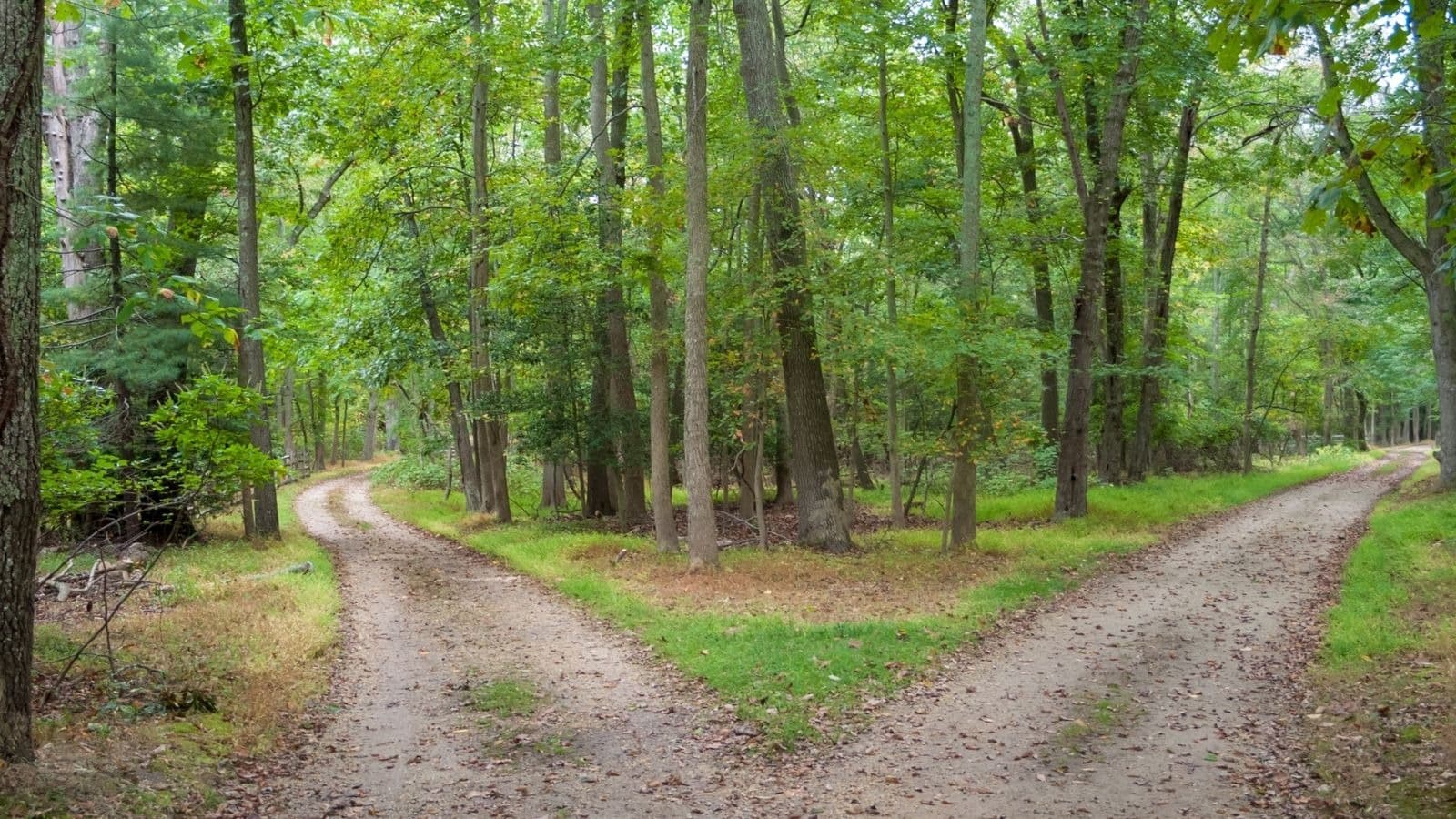 Deux sentiers qui se séparent dans une forêt