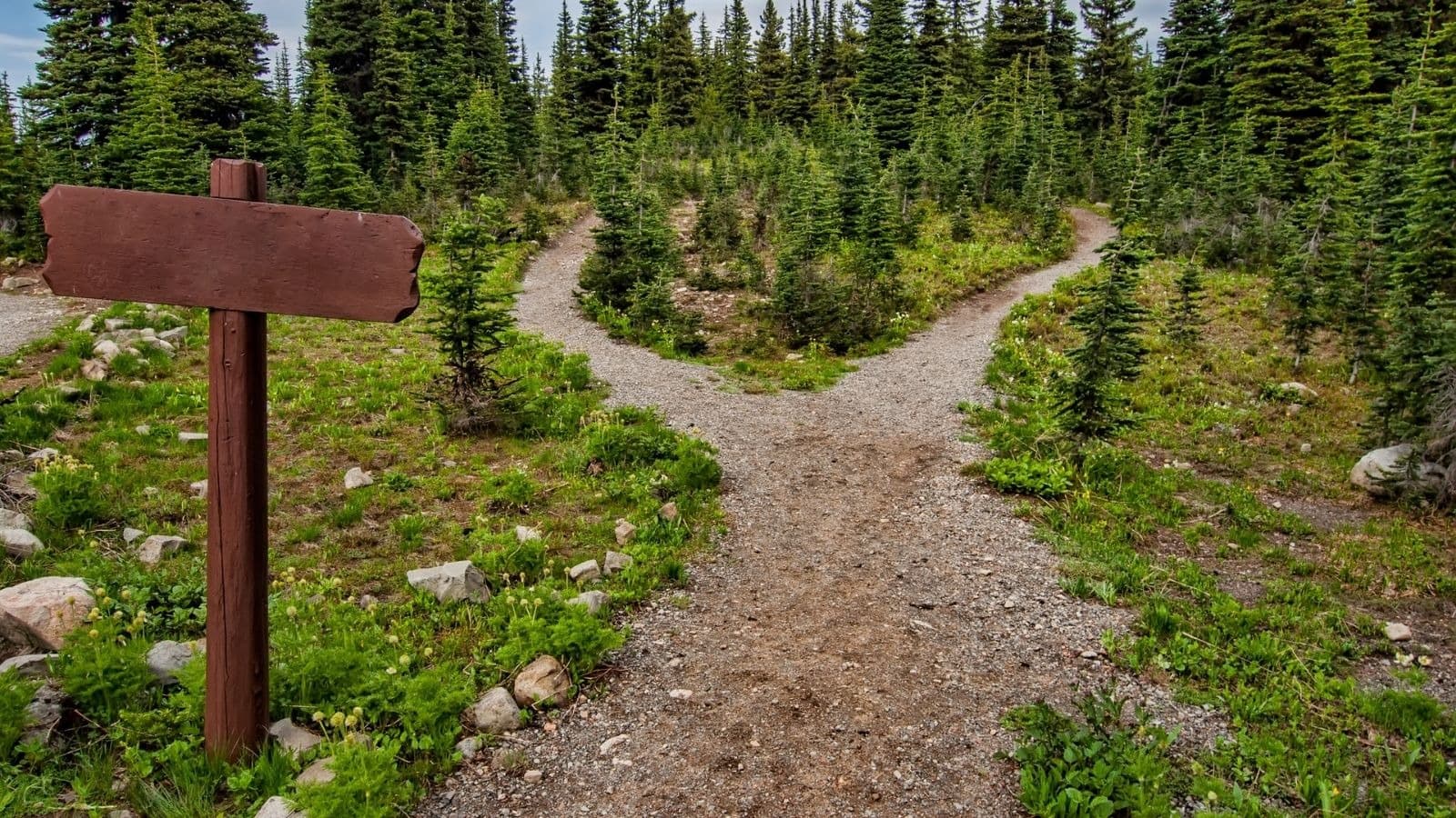 Sentier de montagne partagé en deux directions