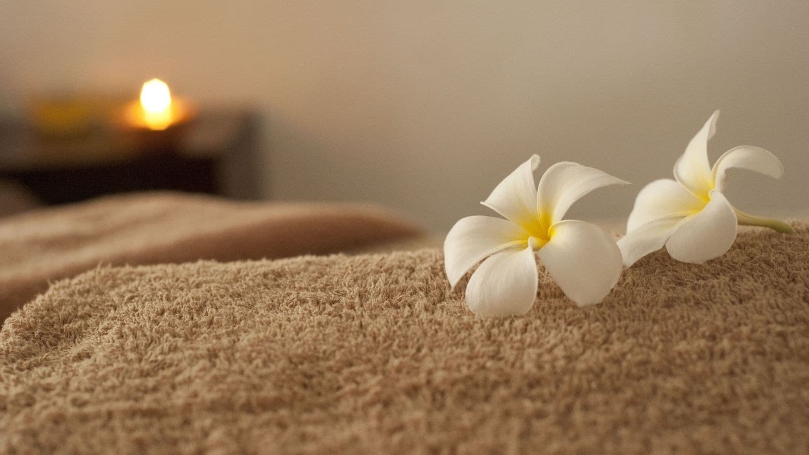 Serviettes pliées et fleurs blanches dans un intérieur doux
