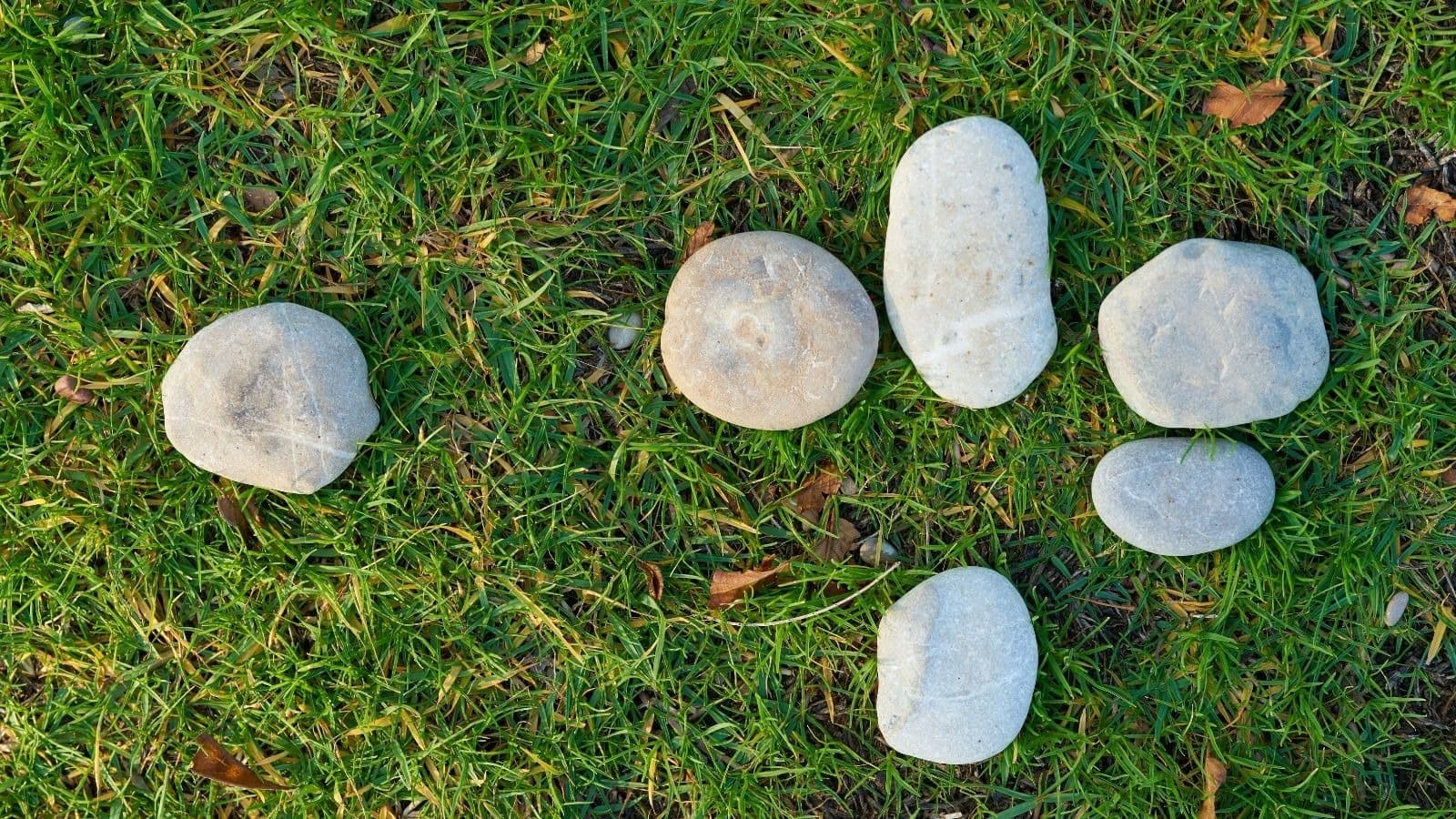 Galets blancs disposés en deux groupes sur l'herbe