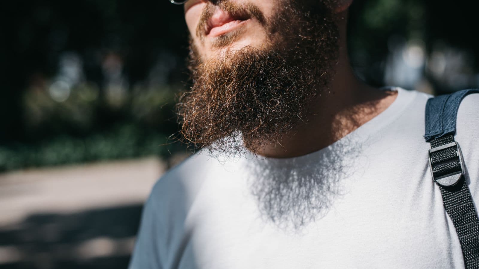Longue barbe d'homme photographiée en extérieur