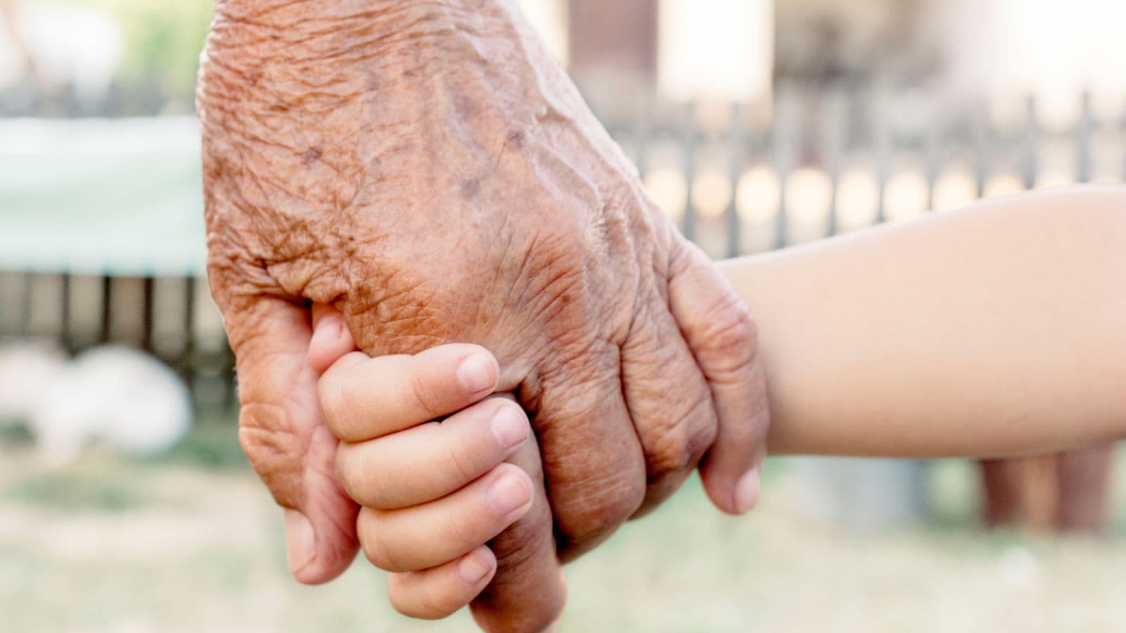 Main d'une personne âgée tenue par celle d'un enfant