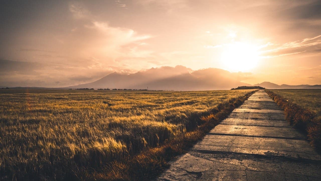 Chemin traversant un paysage doré au coucher du soleil