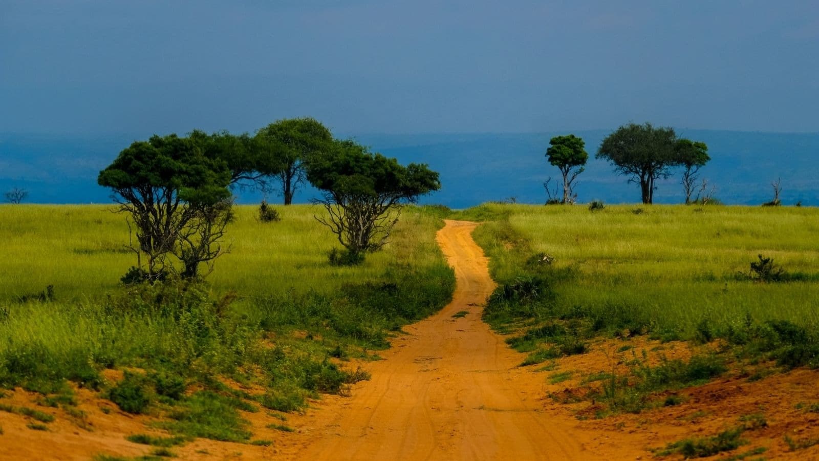 Petit chemin de terre menant vers la mer