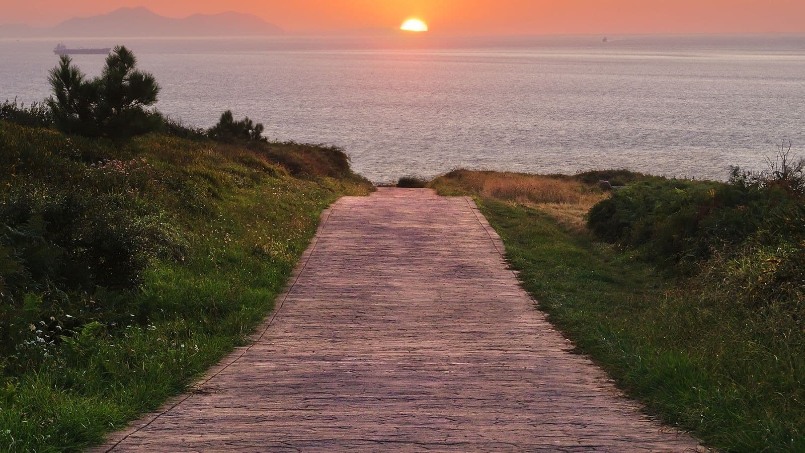 Passage en bois conduisant vers un coucher de soleil marin