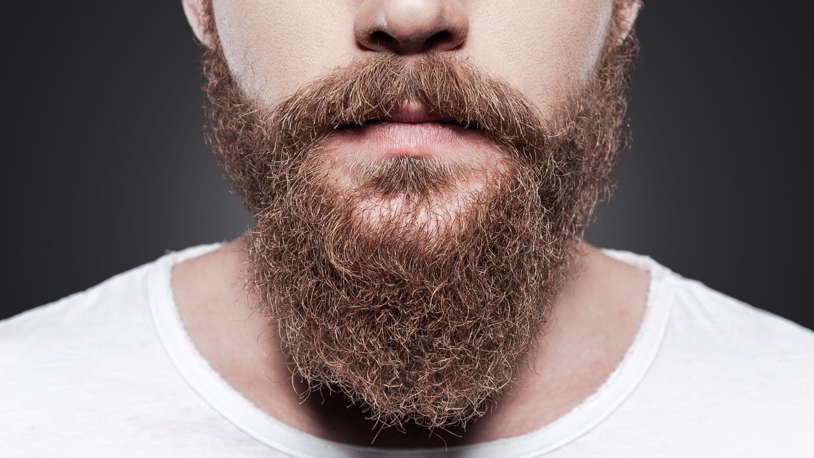 Barbe d'homme photographiée en gros plan